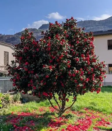 La Begonia Monolocale Con Balcone Appartement